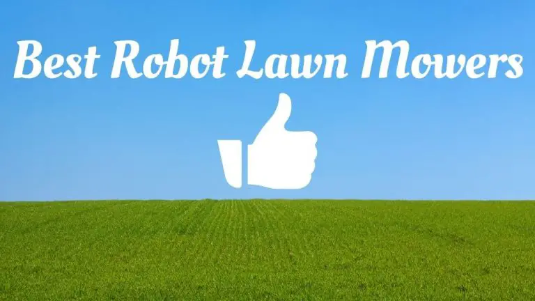 Top 10 Robot Mowers for Your Lawn