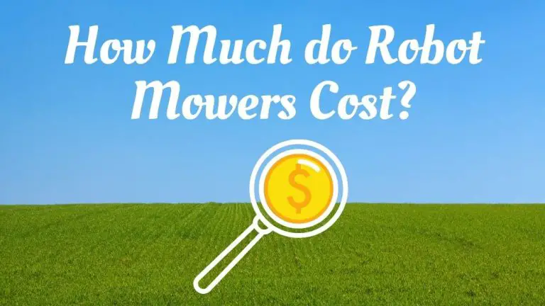 The Cost of a Robot Lawn Mower: What You Need to Know