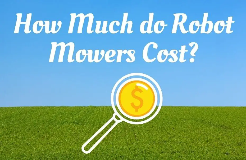 robot lawn mower price