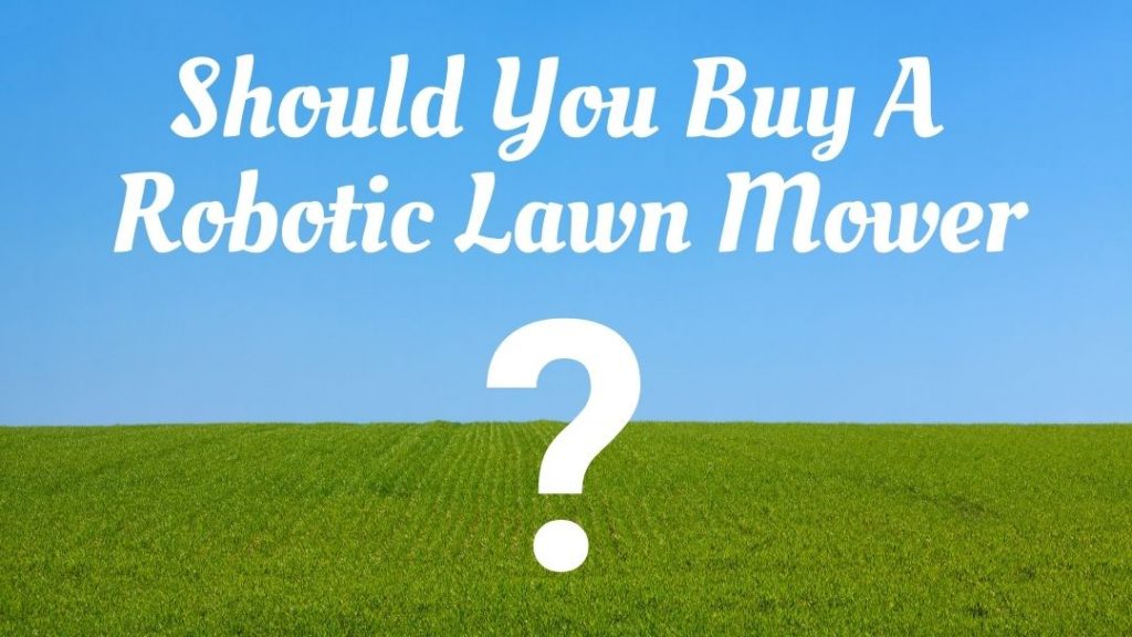 The Future of Dog Poop Cleanup Beetl Robot 2023